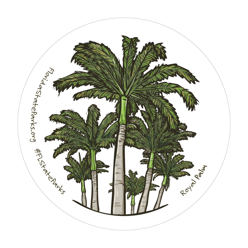 Royal Palms